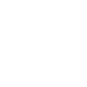Newsletter icon